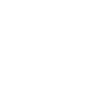 Swan Group