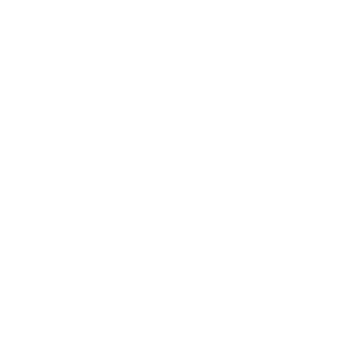 Bossini